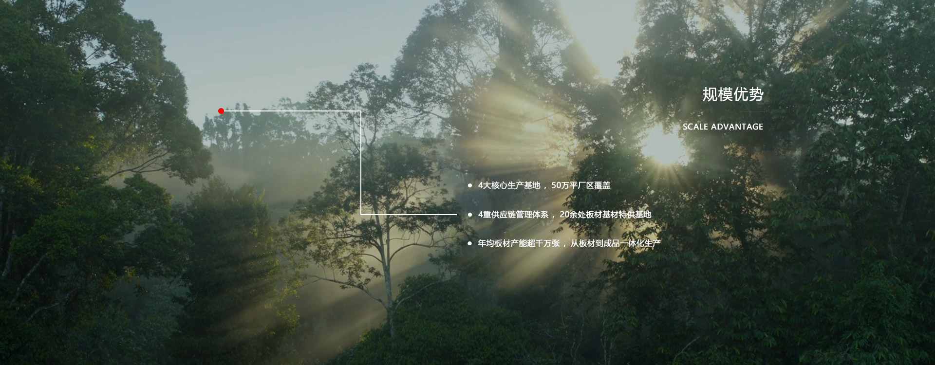 97国际板材厂家规模