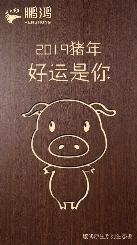 97国际原生系列生态板