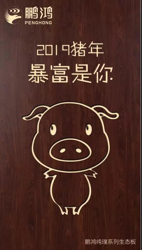 97国际纯璞系列生态板