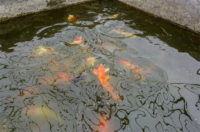 97国际-至尊品牌,源于诺言