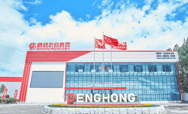 97国际-至尊品牌,源于诺言