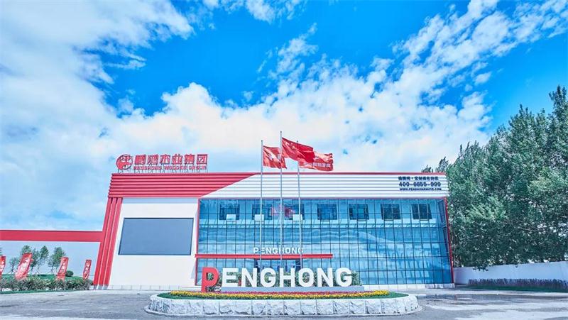 97国际“定造家”升级“妄想家”