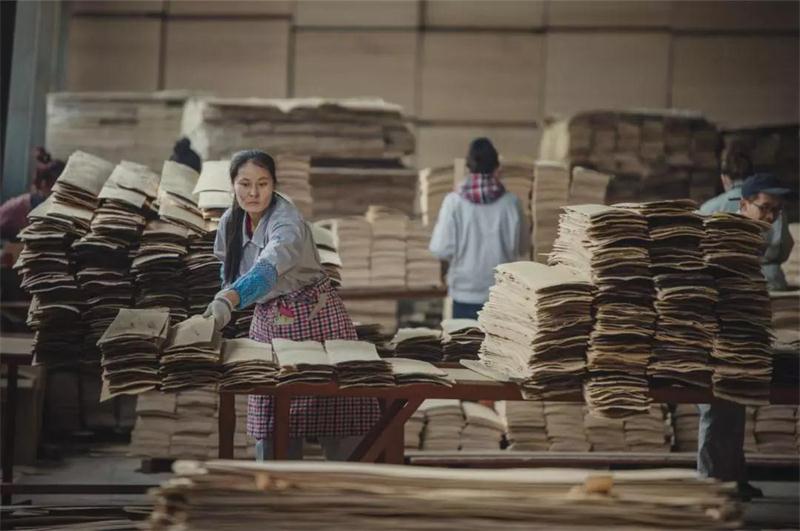 97国际之造——97国际22周年出格贡献品质篇