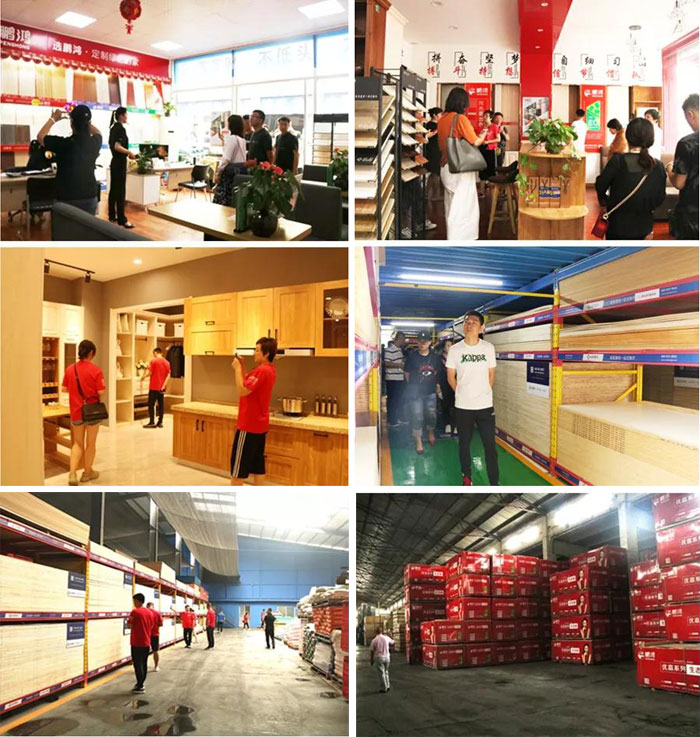 沈阳97国际山东调查进建