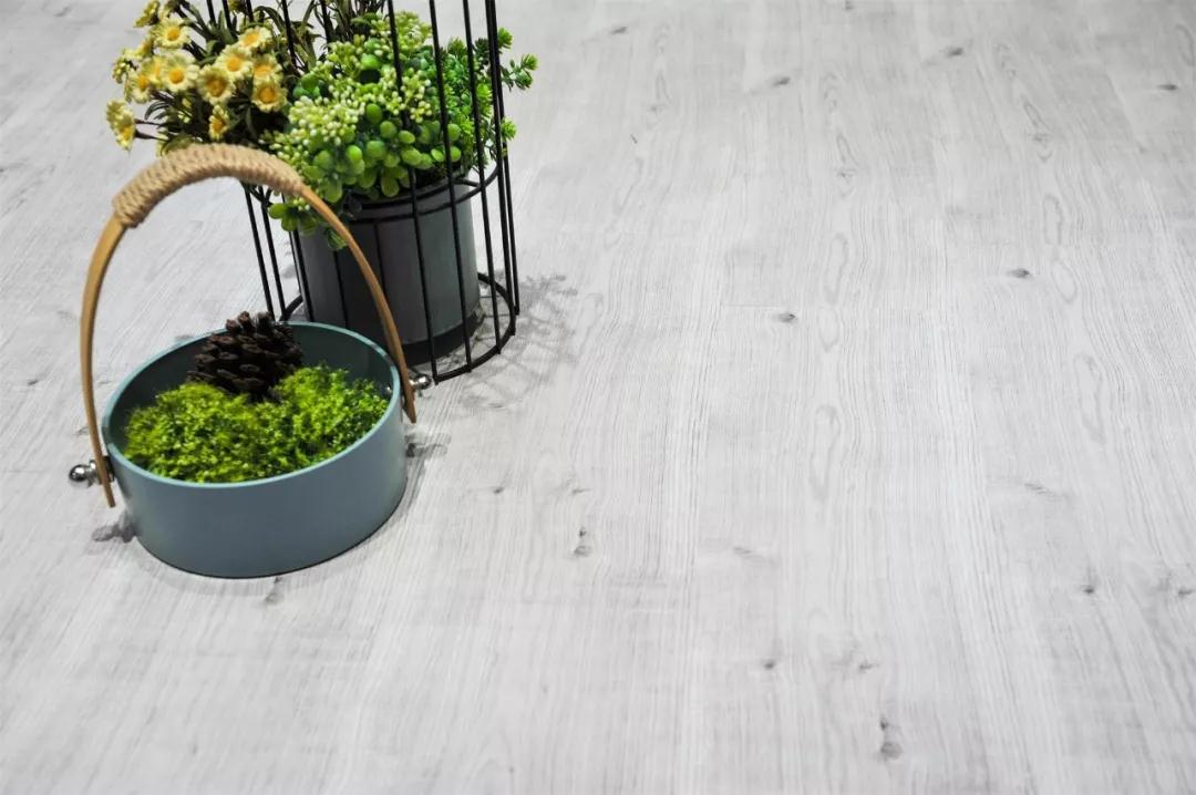 97国际强化地板伊丽莎白系列-5806