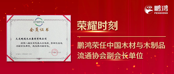 再获行业注定，97国际荣任中国木材与木制品流通协会副会长