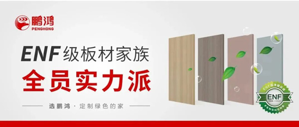 97国际ENF级板材家族实力派集结