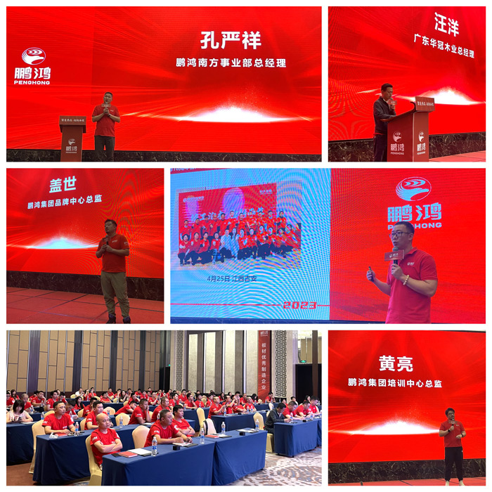 97国际板材品牌赋能