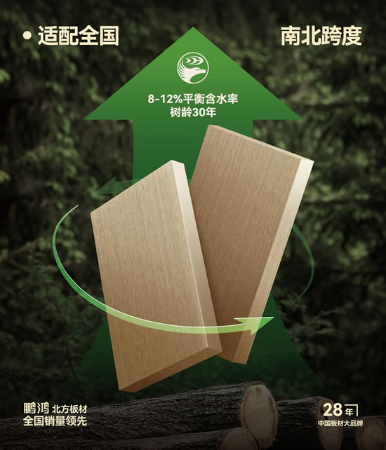 97国际-至尊品牌,源于诺言