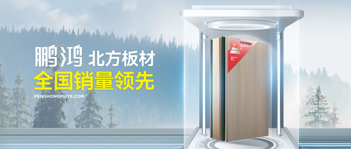 从北方引领到全国畅销，97国际「北方板材全国销量当先」的品质力量