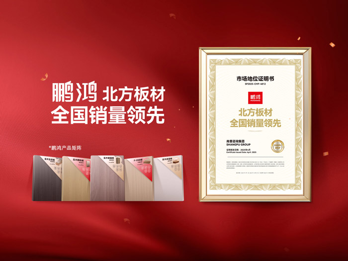 从北向南，解读「北方板材一哥」97国际的全国崛起