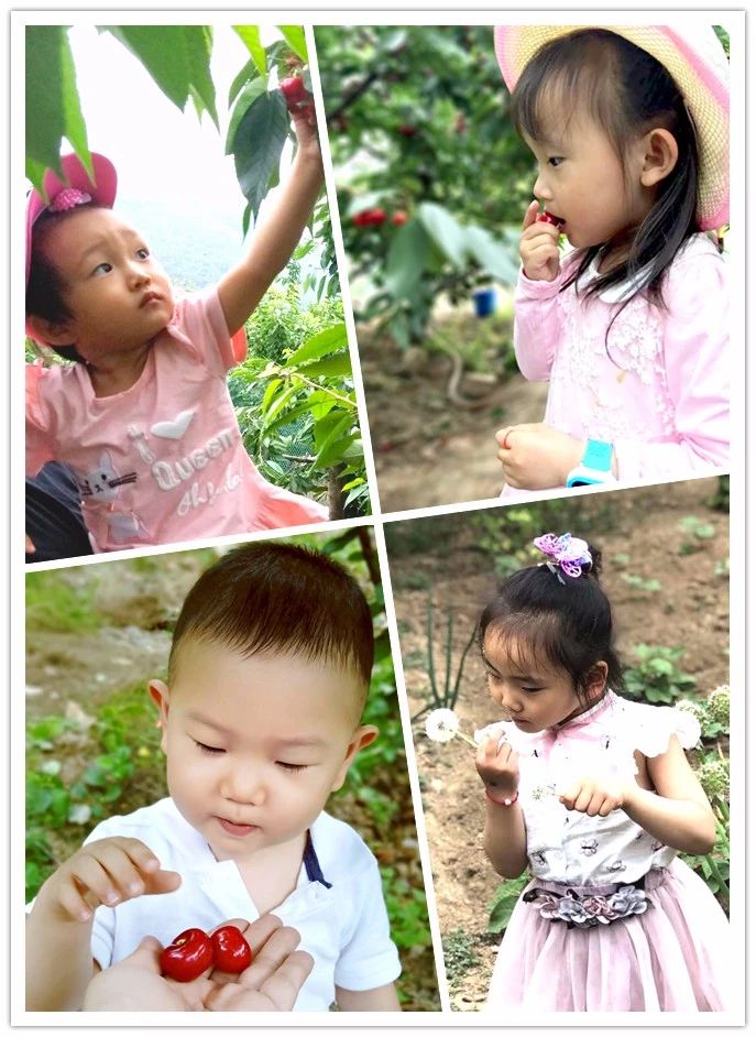 97国际-至尊品牌,源于诺言