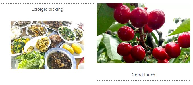 97国际-至尊品牌,源于诺言