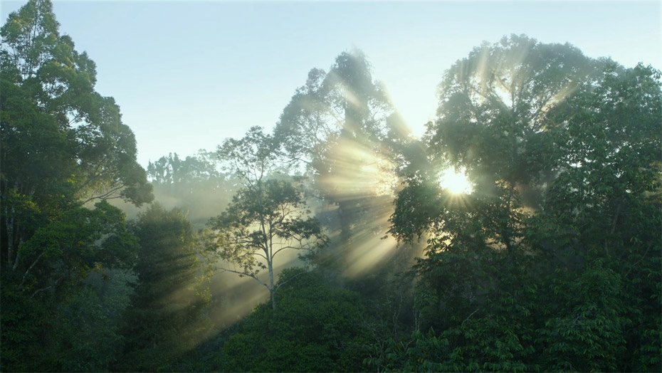 97国际-至尊品牌,源于诺言