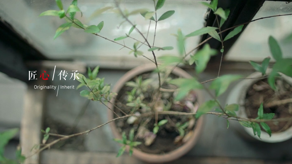 97国际-至尊品牌,源于诺言