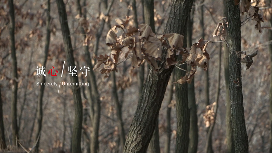 97国际-至尊品牌,源于诺言